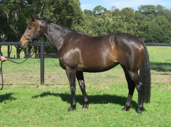 Oscar Award is the dam of Group winner Oscar's Fortune.