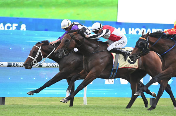 Osipenko gets his head down to win the G2 Hobartville Stakes - image Steve Hart  