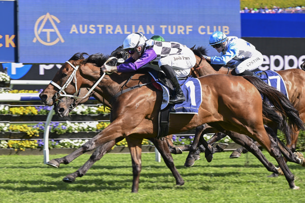 The Chris Waller trianed Osipenko heads to Perth as a last start winner - image Bradley Photos