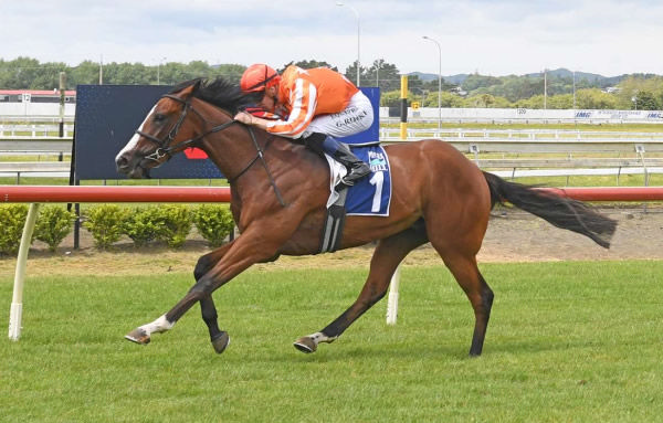 Osteria will contest Thursday’s Gr.2 Shaw’s Wire Ropes Auckland Guineas (1400m) at Ellerslie.   Photo: Kenton Wright (Race Images)