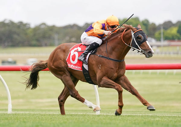 Oughton breaks his maiden - image Scott Barbour / Racing Photos