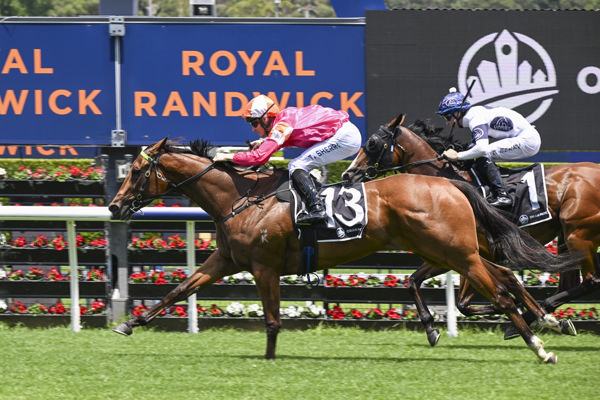 Oui Oui Oui salutes at Randwick - image Bradley Photos