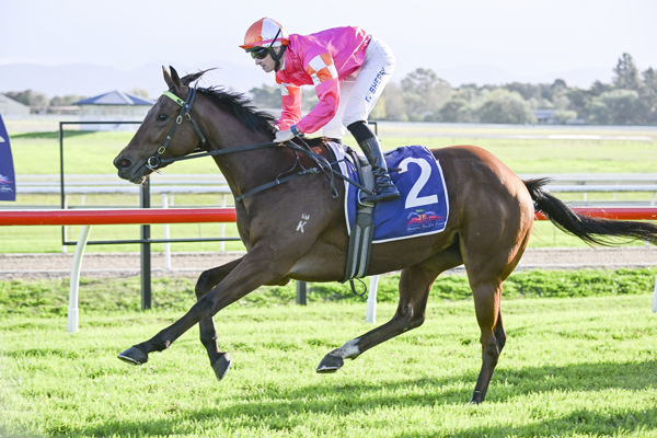 Bred and raced by Kate Nivison, Oui Oui Oui is a progressive filly for Yes Yes Yes - image Bradley Photography