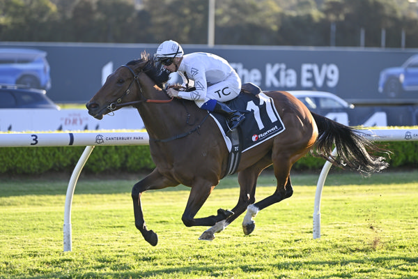 Our Queen (IRE) wins at Canterbury - image Bradley Photos