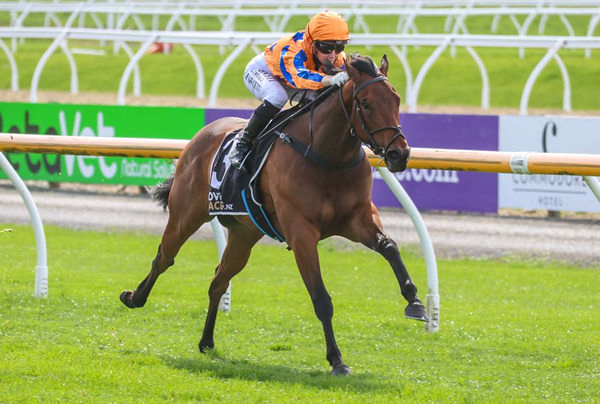 Out Of The Blue winning on debut at Riccarton last Saturday.  Photo: Race Images South
