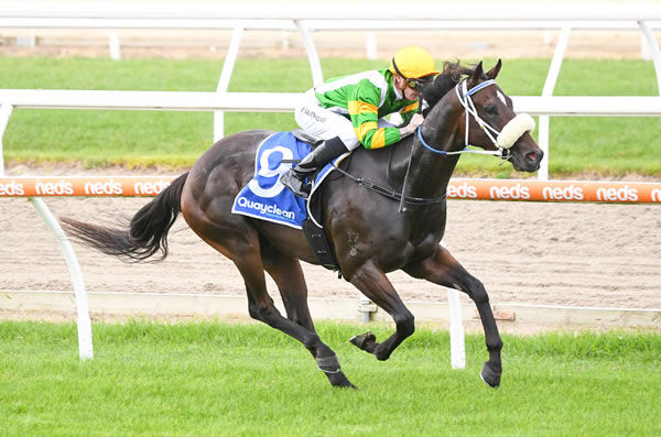 Outback Action wins by daylight at Mornington - image Pat Scala / Racing Photos