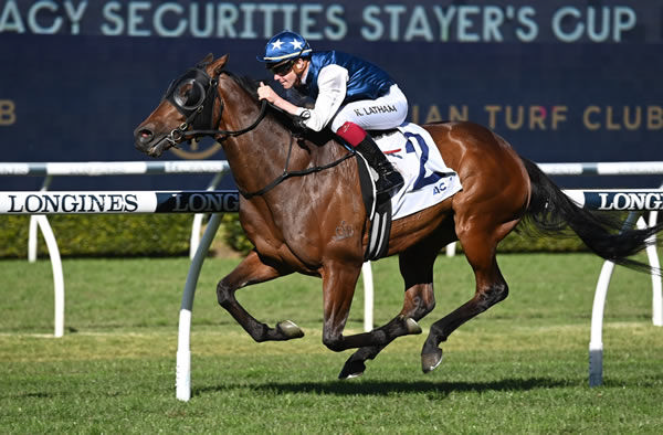 Outlandos wins at Rosehill and has won nearly $700,000 in prizemoney! - image Steve Hart 