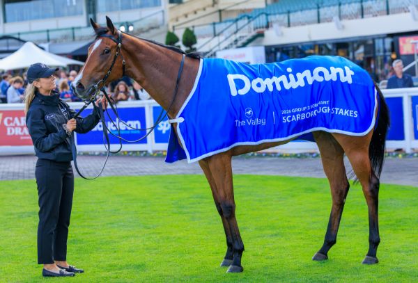 Over the Bridge is now a G3 winner - image Grant Courtney