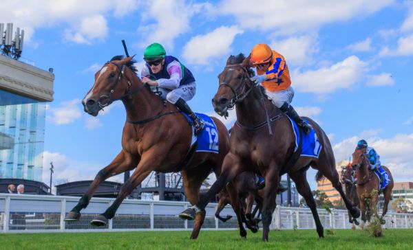 Over the Bridge outguns I Am Aria to win the G3 Scarborough - image Grant Courtney
