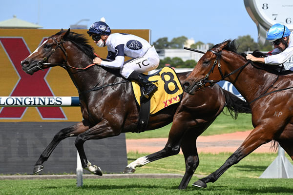 Overpass scores an all the way win in the G2 Expressway - image Steve Hart