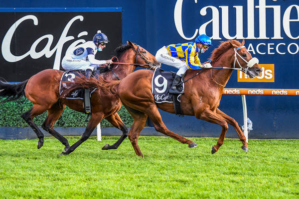 Oxley Road wins the G2 Caulfield Sprint - image Grant Courtney