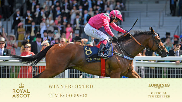 Oxsted - Royal Ascot Twitter.
