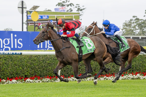 Oz Princess makes a winning debut - image Bradley Photos