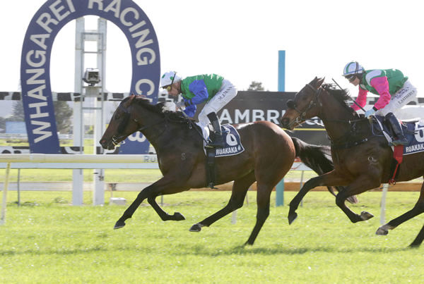 Pacific Dragon holds out Belthil to win at Ruakaka Photo credit: Trish Dunell