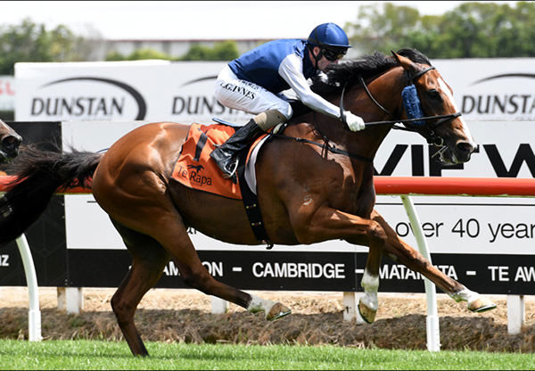 Packing Rockstar leads all the way to win the Gr.3 J Swap Sprint (1400m) at Te Rapa Photo: Race Images – Kenton Wright