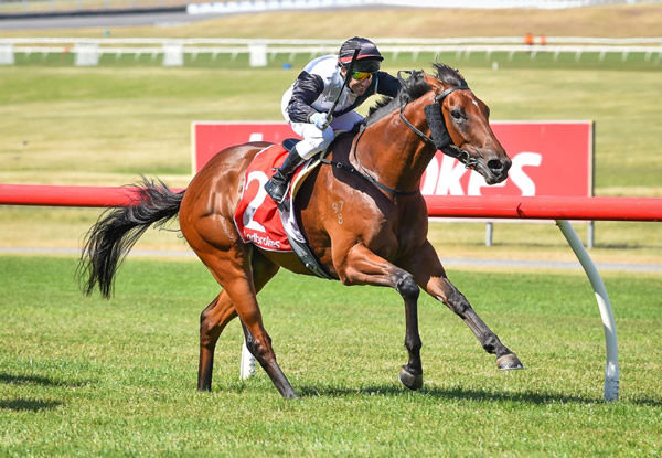 Pagan winning at Sandown on Wednesday. Photo: Reg Ryan (Racing Photos)