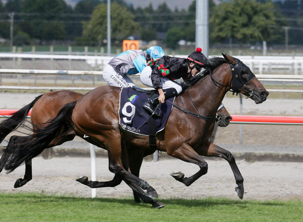 Paisley Park (outer) battles hard to take out the Listed Matamata Veterinary Services Kaimai Stakes (2000m) Photo Credit: Trish Dunell