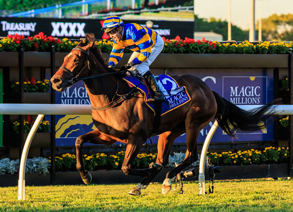 Palaisipan wins the G2 Dane Ripper Stakes - image Grant Courtney