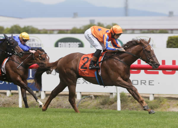 Undefeated with two wins in as many starts, Palamos is out of the Karaka Millio.