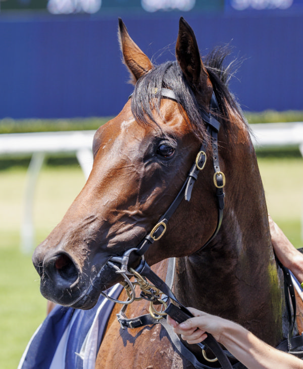 Pallaton is the first Australian 2YO winner for Wootton Bassett - image Steve Hart