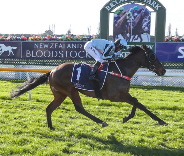  Palmetto and Rohan Mudhoo cruise to victory at Riccarton Photo Credit: Race Images South