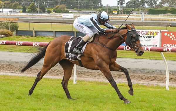 Palmetto is well clear at the finish of the Listed ILT Ascot Park Hotel Southland Guineas (1600m) Photo Credit: Monica Toretto