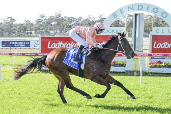 Panchenko wins by a space at Bendigo  - image /Brett Holburt / Racing Photos 