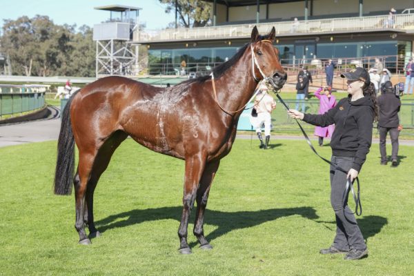 Where to from here for Panchenko ? - image Racing Photos 