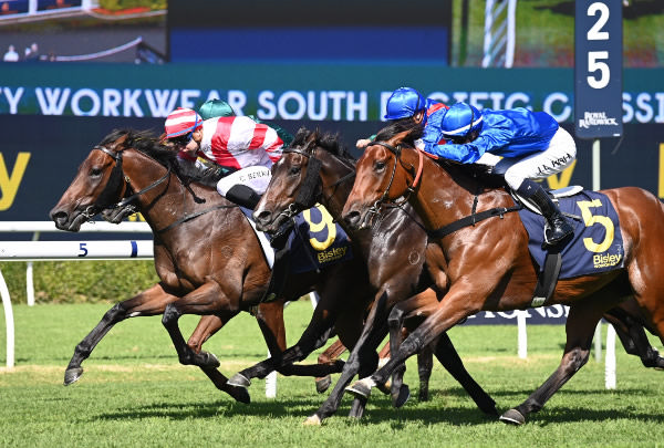 Kiwi bred Panic wins the Listed South Pacific Classic - image Steve Hart 
