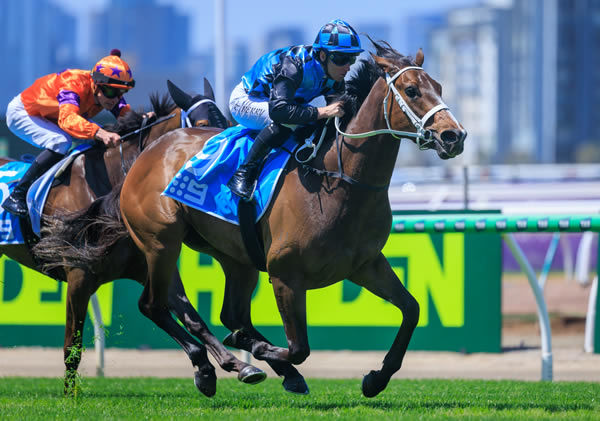 Panova wins the G3 Carbine Club - image Grant Courtney