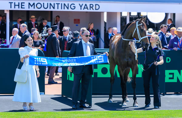 Panova wins for B2B Thoroughbreds - image Grant Courtney