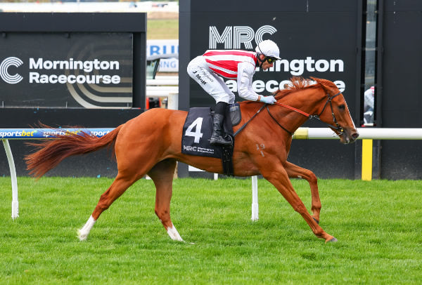 Pantoja wins in a breeze at Mornington - image Morgan Hancock / Racing Photos