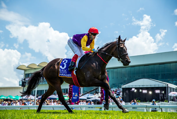 Paradee was a star for long time Widden client Robert Anderson - image Grant Courtney