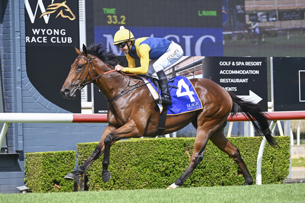 Paradoxium books his ticket to the Gold Coast - image Bradley Photos