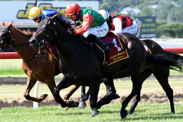 Pareanui Bay stretches nicely to take out the Listed Trevor & Corallie Eagle Memorial 3YO (1500m) Photo: Race Images – Kenton Wright