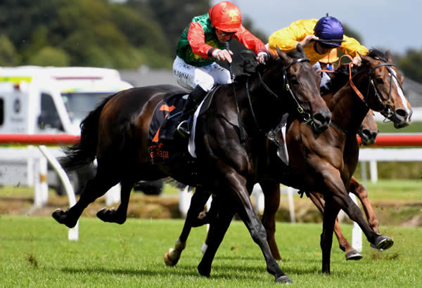 Exciting three-year-old Pareanui Bay takes out the Gr.2 James And Annie Sarten Memorial Stakes (1400m) at Te Rapa Photo Credit: Race Images – Kenton Wright