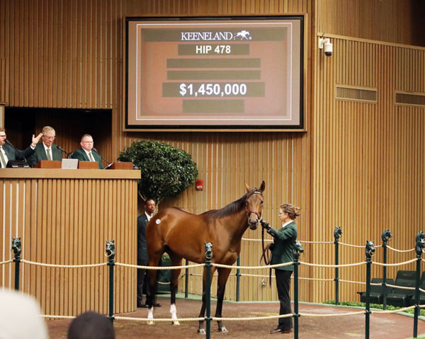 Park Avenue topped the session.