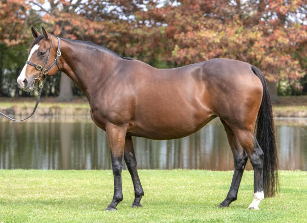 G1 producer Parmalove is in the latest Inglis Digital sale.