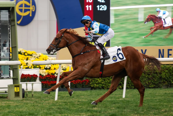 Patch of Theta wins the G3 Chinese Club Challenge Cup - image HKJC