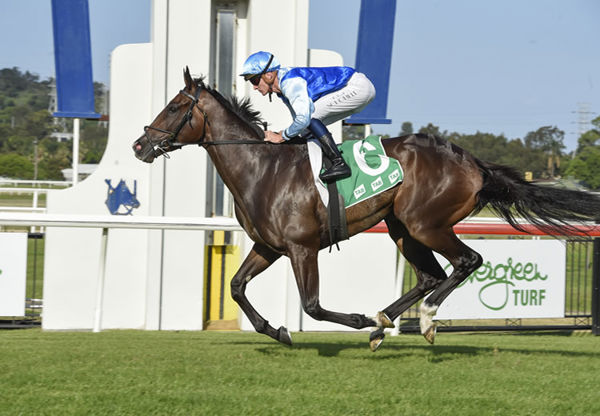 Pavitra wins her first stakes race at Kembla - Bradley Photography