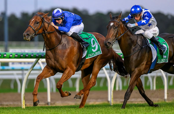 Payline wins the $1million The Syndicate - image Magic Millions