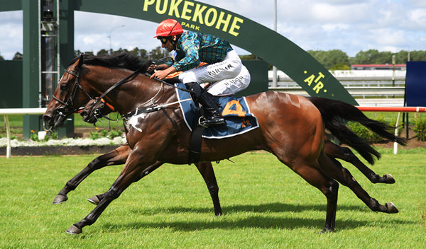 Pendragon winning the Gr.2 Auckland Guineas (1400m) at Pukekohe on Boxing Day. Photo: Kenton Wright (Race Images)