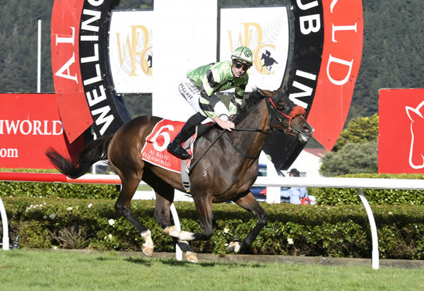 Ryan Elliot has Pennyweka well clear as she cruises home in the Gr.1 Al Basti Equiworld New Zealand Oaks (2400m) at Trentham Photo: Race Images – Peter Rubery