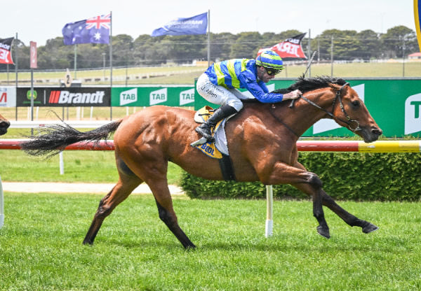 Perfect Excuse scores on debut - image Reg Ryan / Racing Photos