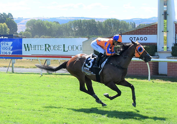 Perfect Scenario wins the feature race at Wingatui, the Gr.3 White Robe Lodge (1600m) Photo Credit: Tayler Strong