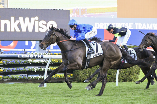 Pericles wins the Tramway for the second time - image Bradley Photography