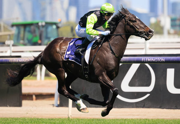 Persan scores a deserved win in the JRA Trophy - image Grant Courtney