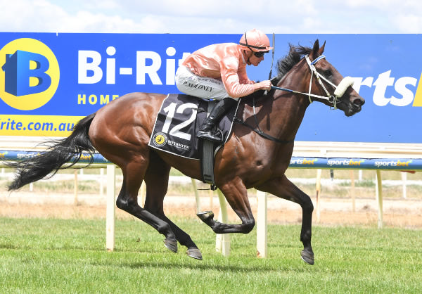 Persian Caviar wins in style at Wangaratta - image Brett Holburt / Racing Photos