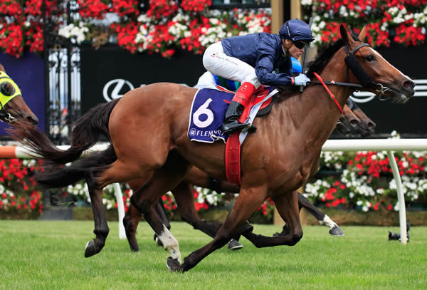 Personal will be aiming towards the G1 Thousand Guineas in the spring 