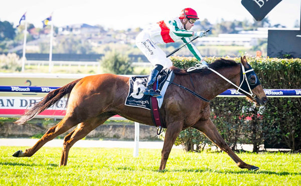Phanta leads home a trifecta for Gingerbread Man  - image Western Racepix 